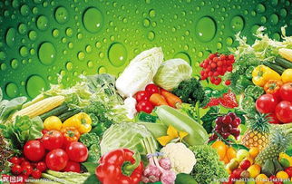 上海至濮陽恒溫物流首選 井榮物流，專業(yè)花卉運輸解決方案