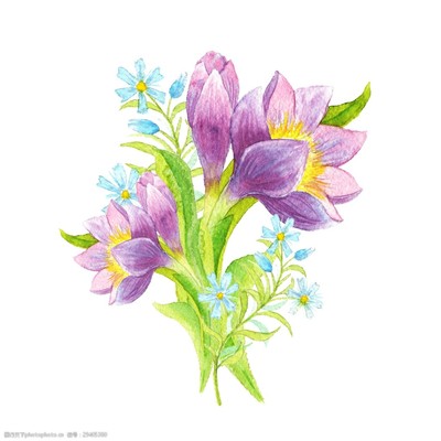 手繪花卉設(shè)計(jì)裝飾素材 自然之美在指尖綻放