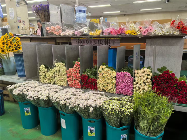 科技創(chuàng)新賦能云花 呈貢區(qū)打造花卉產(chǎn)業(yè)新高地